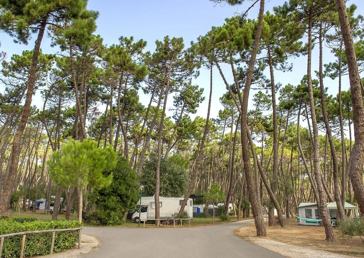 Campeggio Baia Verde 카스틸리오네 델라 페스카이아 이탈리아