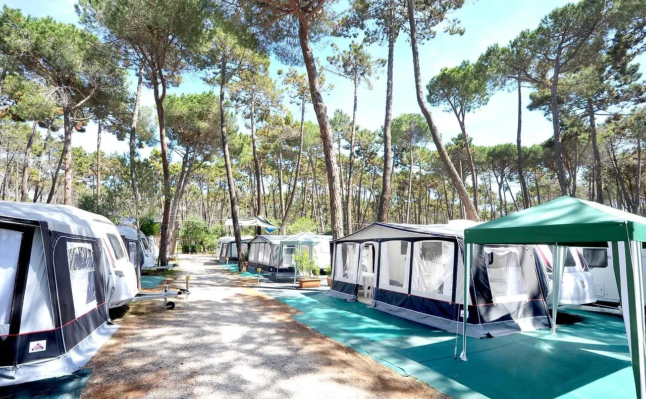 Campsite Campeggio Baia Verde Castiglione della Pescaia