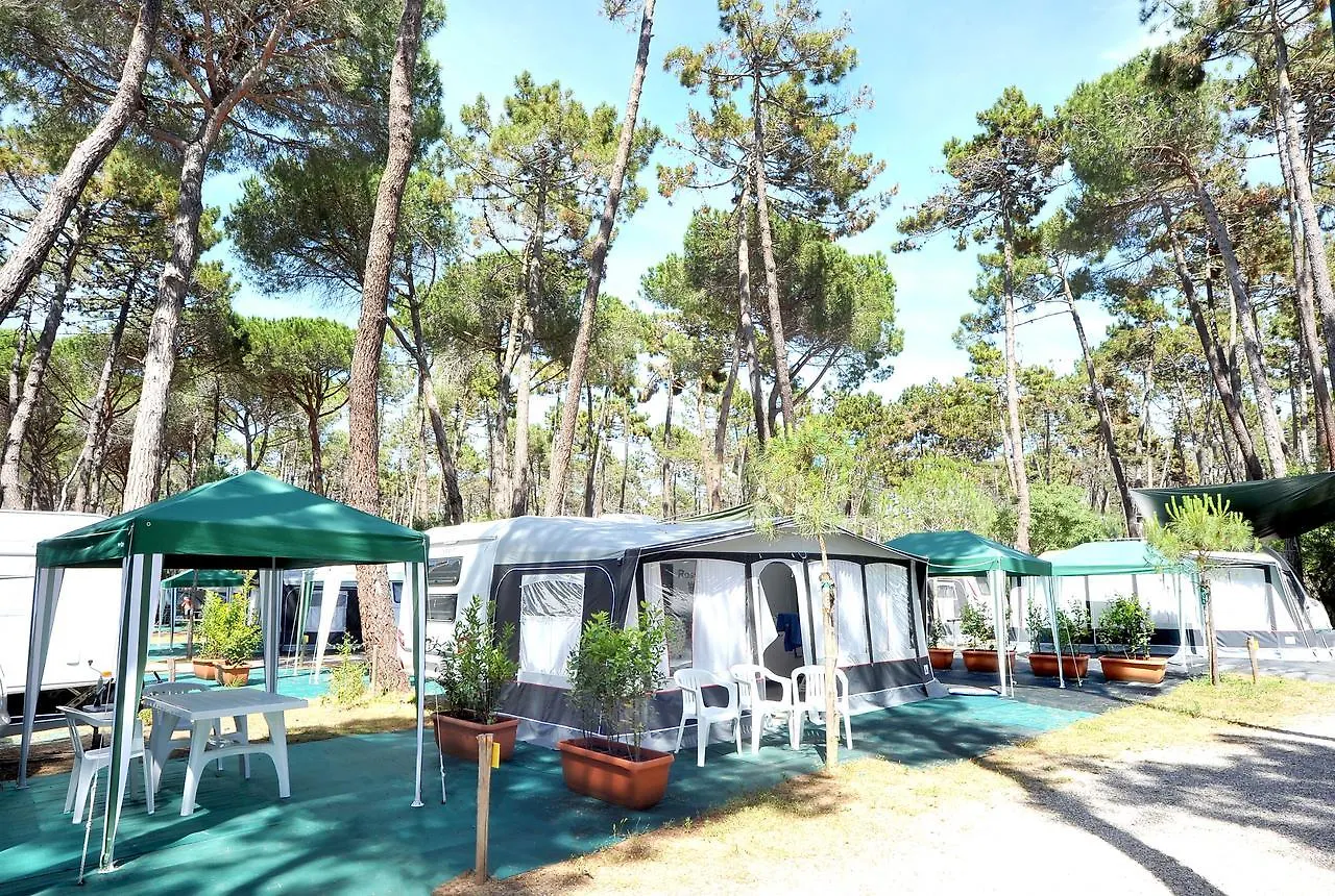 Campsite Campeggio Baia Verde Castiglione della Pescaia