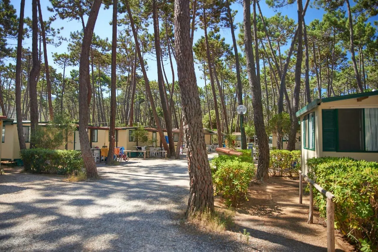 Campsite Campeggio Baia Verde Castiglione della Pescaia