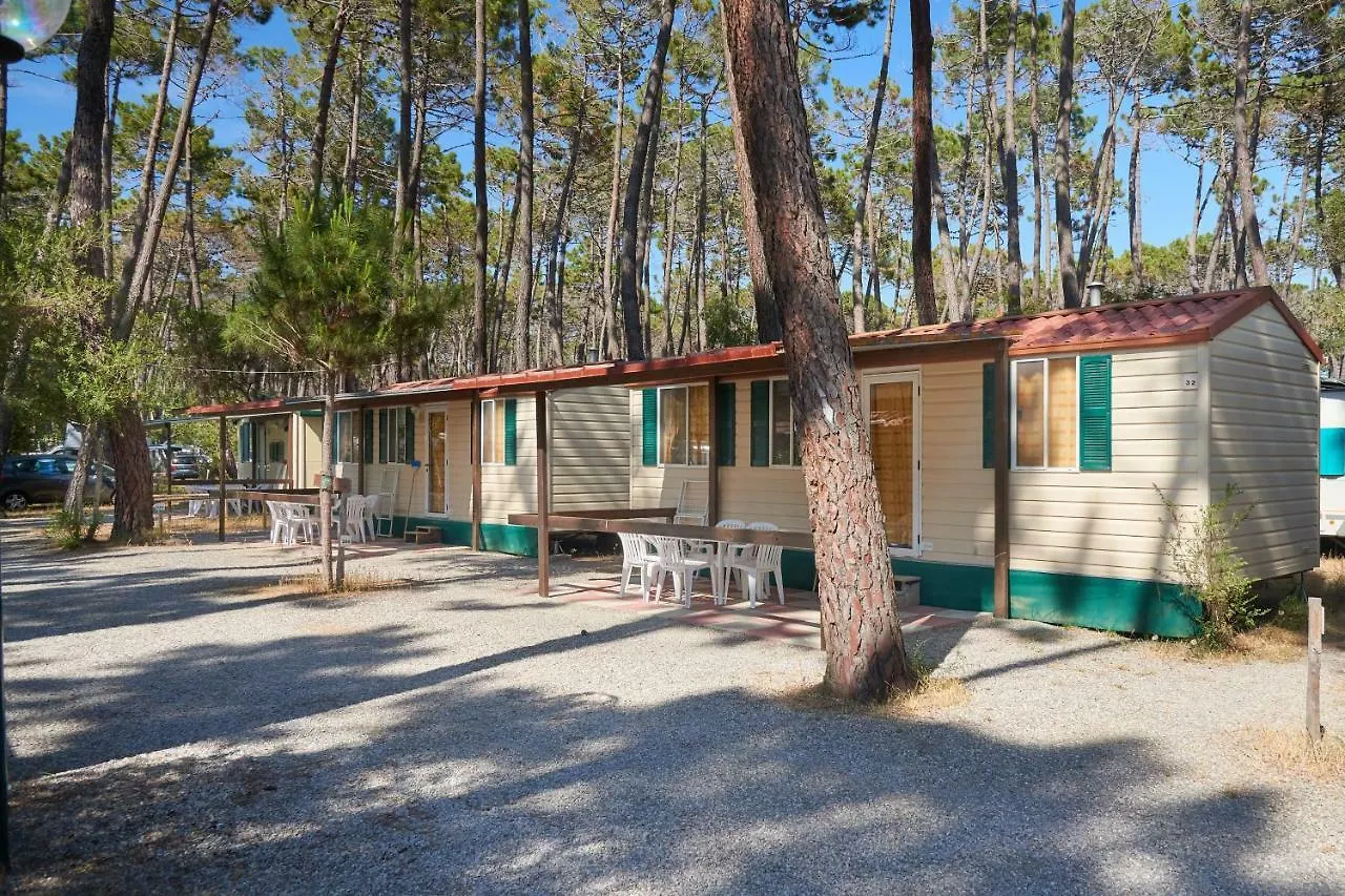 Campsite Campeggio Baia Verde Castiglione della Pescaia Italy